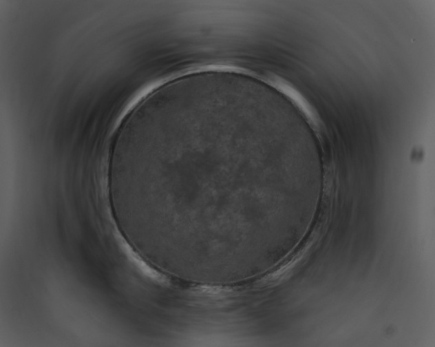 X0000089960910200707131534