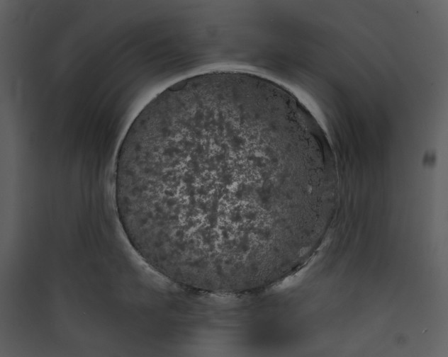 X0000089960911200707131534