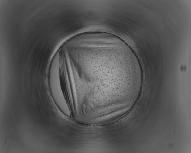 X0000089960912200707131534