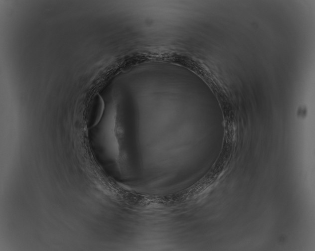 X0000089960913200707131533