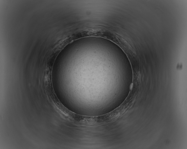 X0000089960914200707131533