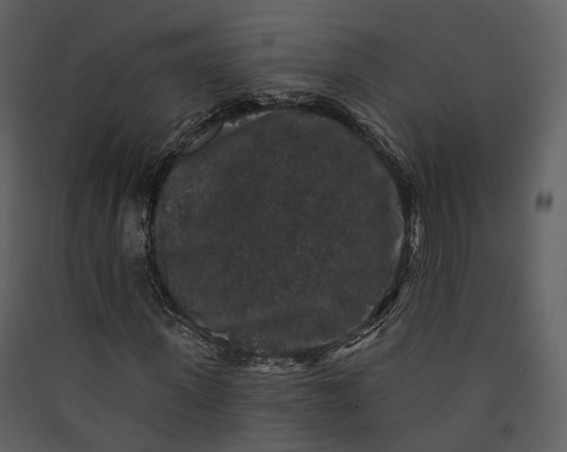 X0000089960915200707131533