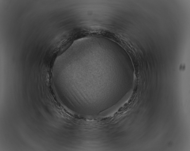 X0000089960916200707131533