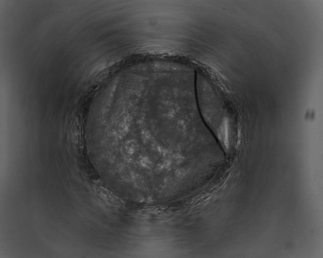 X0000089960917200707131533