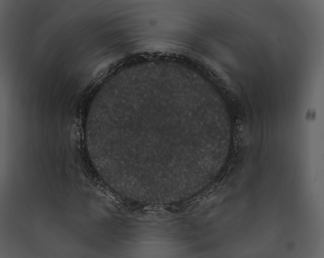 X0000089960918200707131533