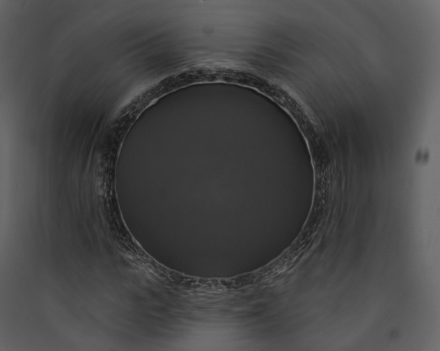 X0000089960919200707131533