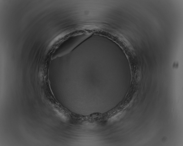 X0000089960920200707131533