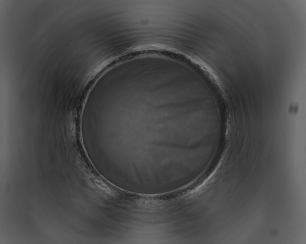 X0000089960921200707131533
