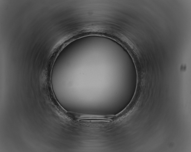 X0000089960922200707131533