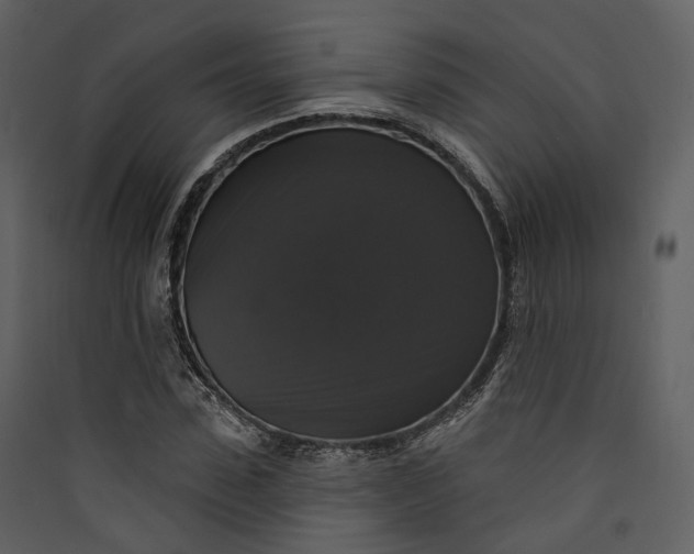 X0000089960923200707131533