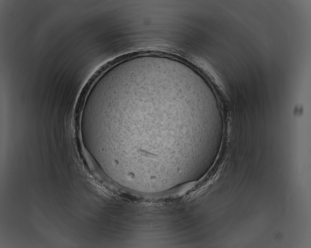 X0000089960924200707131534