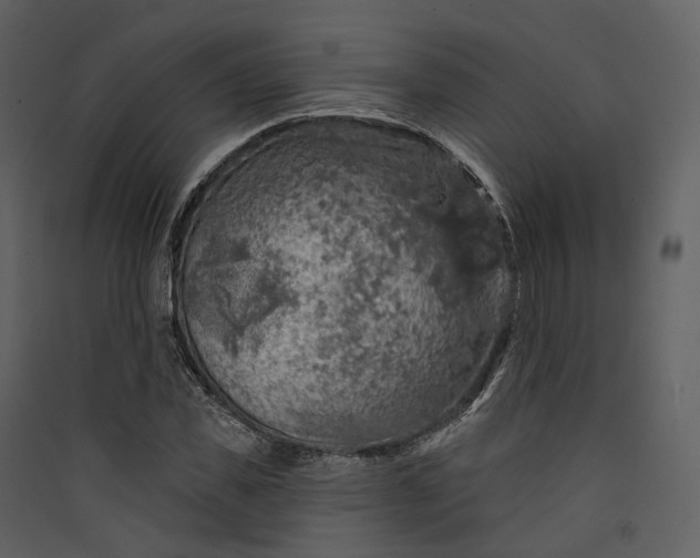 X0000089960925200707131534