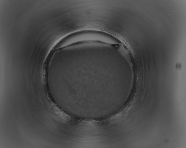 X0000089960926200707131534