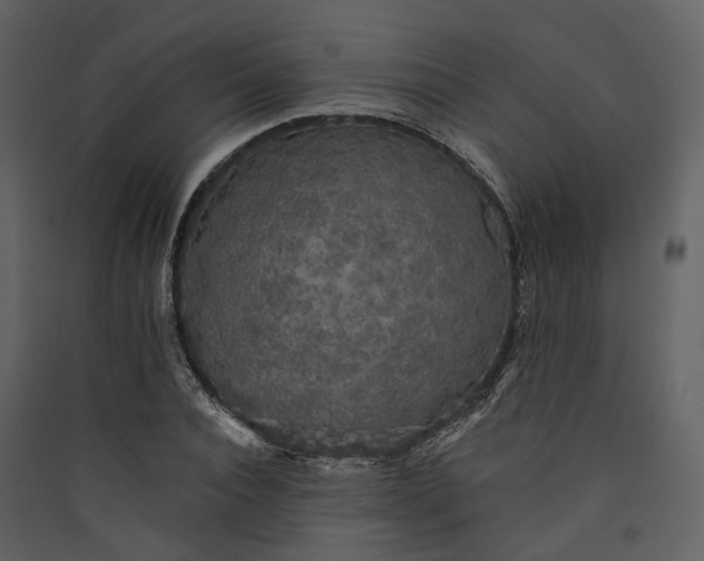 X0000089960928200707131534