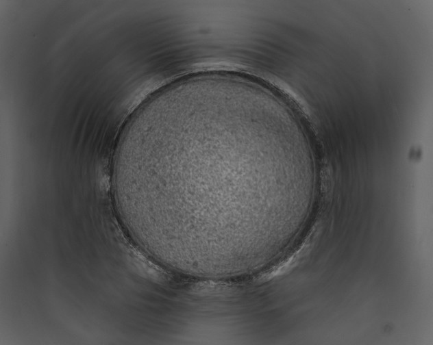 X0000089960929200707131534