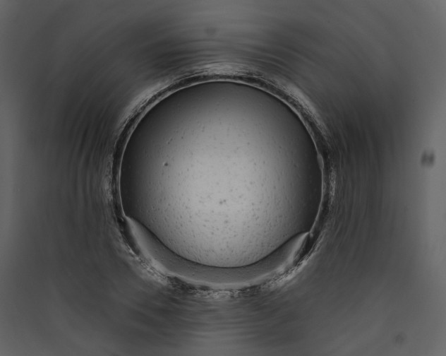X0000089960930200707131534
