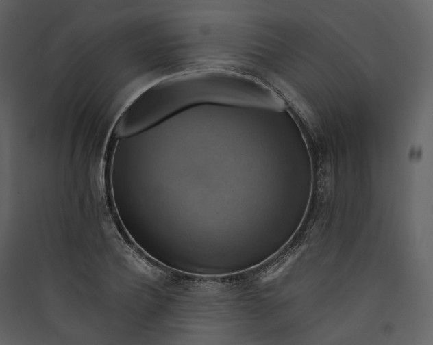 X0000089960932200707131534