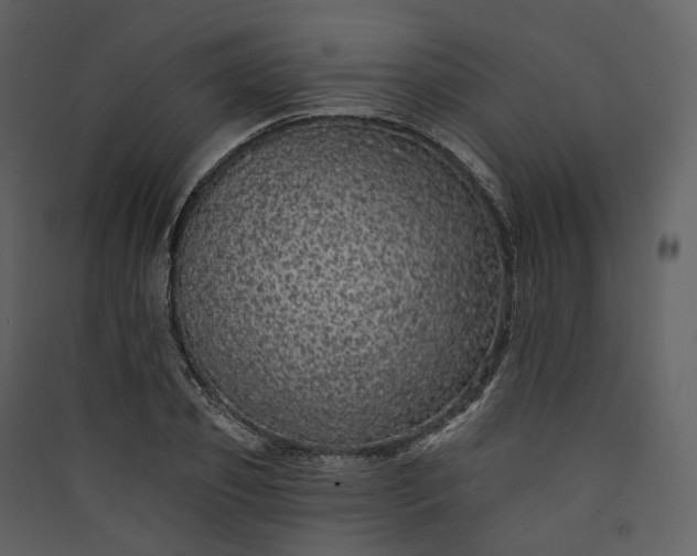 X0000089960933200707131534