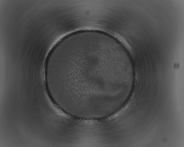 X0000089960934200707131534
