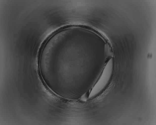 X0000089960935200707131534