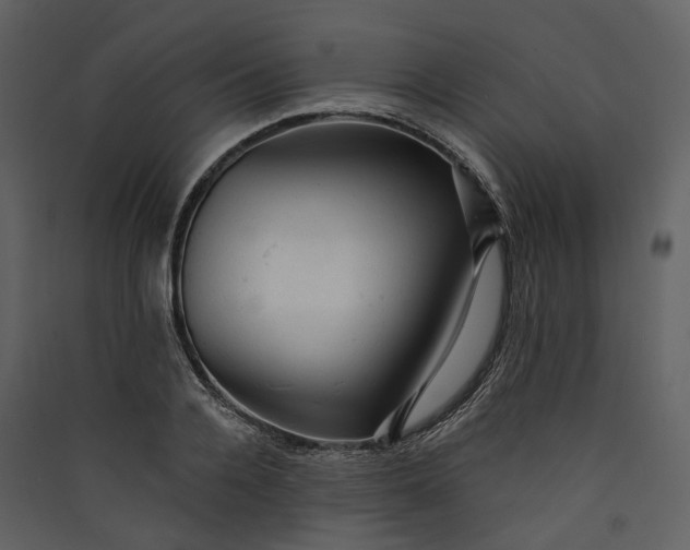 X0000089960936200707131534