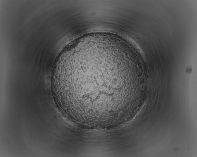 X0000089960937200707131534
