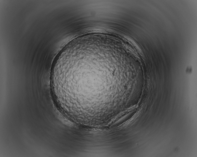 X0000089960938200707131534