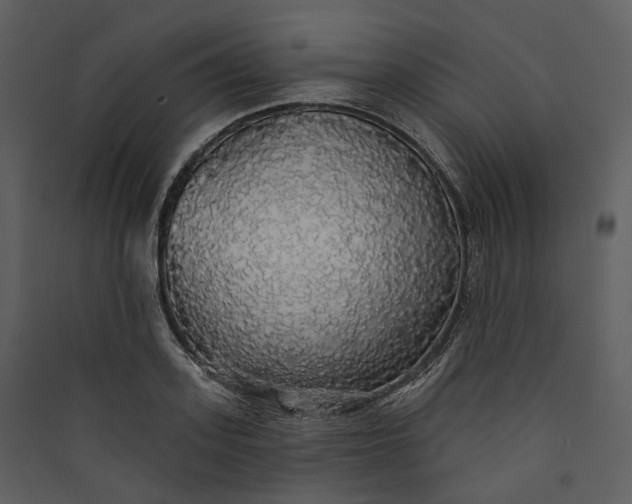 X0000089960939200707131534