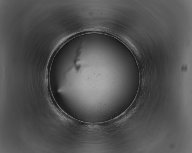 X0000089960940200707131534