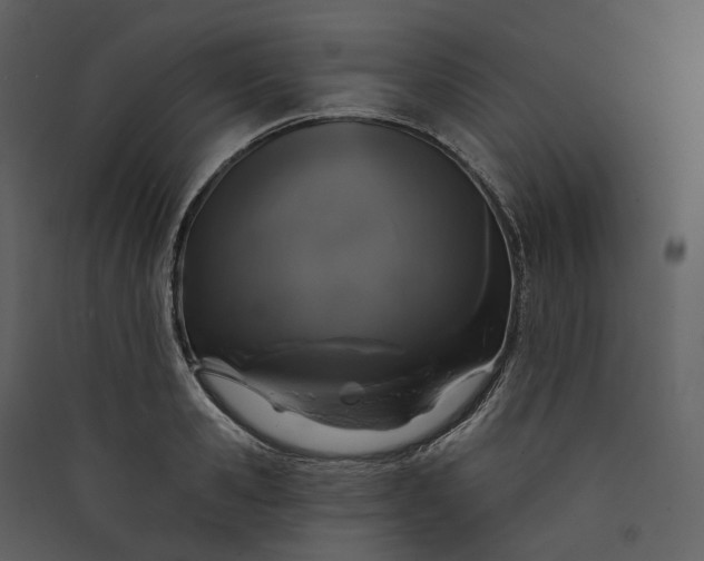 X0000089960941200707131534