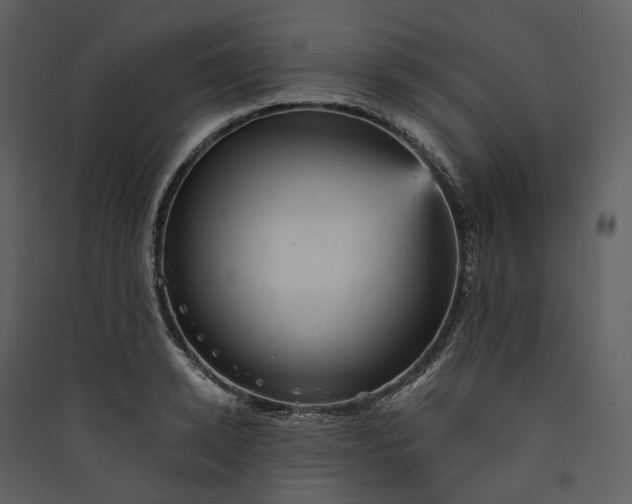 X0000089960942200707131534