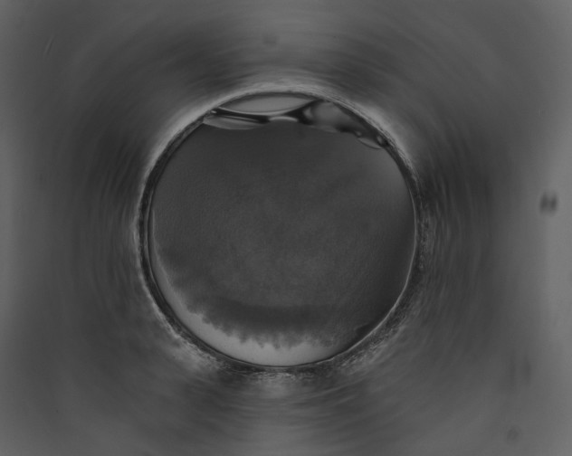 X0000089960943200707131534