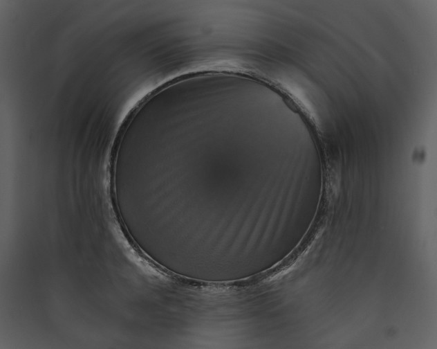 X0000089960944200707131534