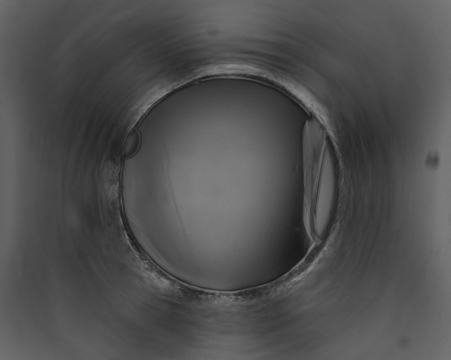 X0000089960945200707131534