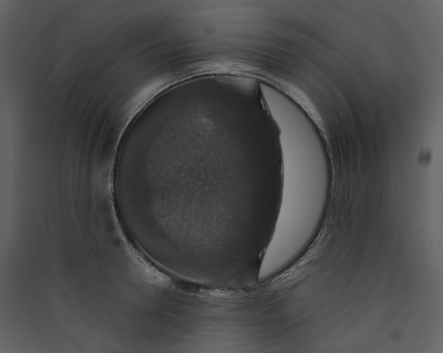 X0000089960946200707131534