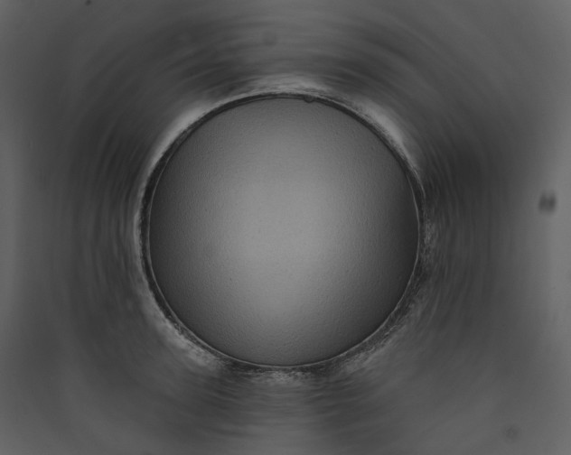 X0000089960947200707131534