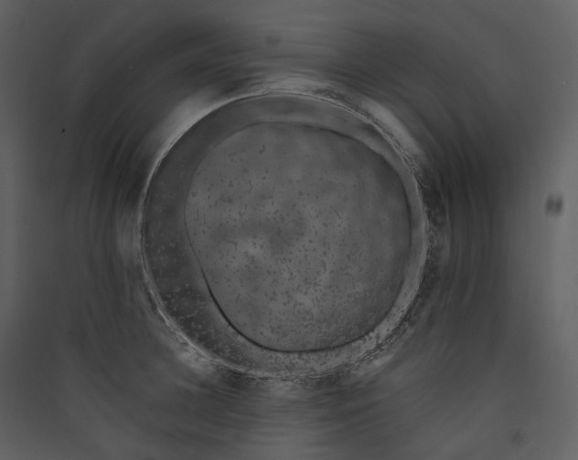 X0000089960948200707131534