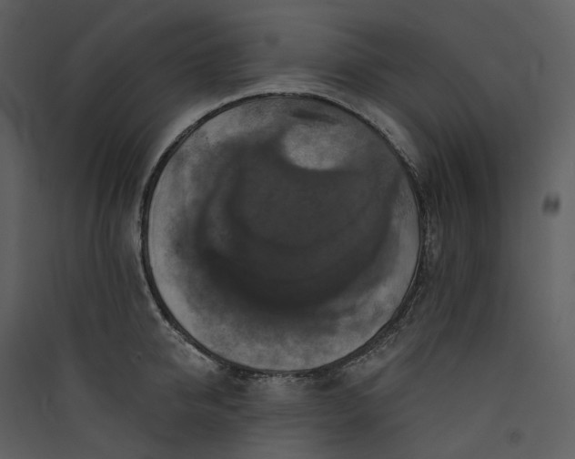 X0000089960950200707131534