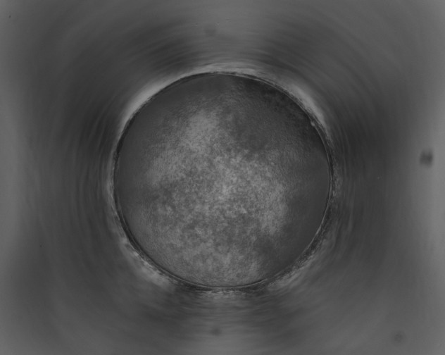 X0000089960952200707131534