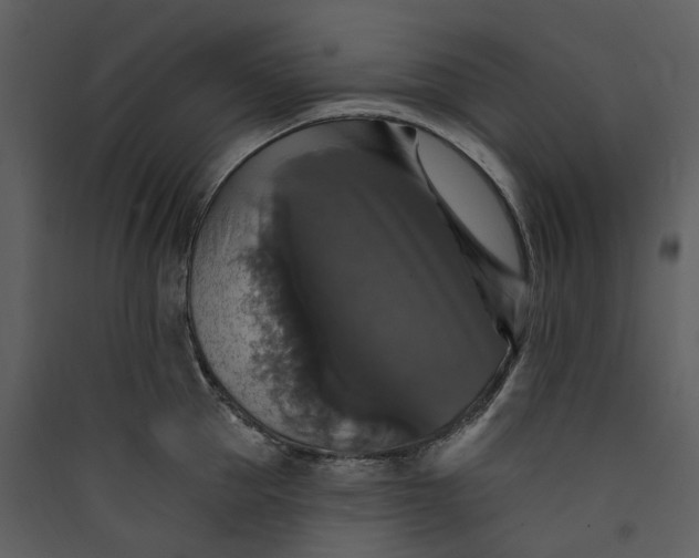 X0000089960953200707131534
