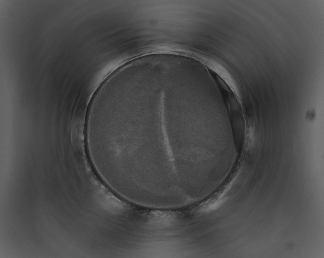 X0000089960954200707131534