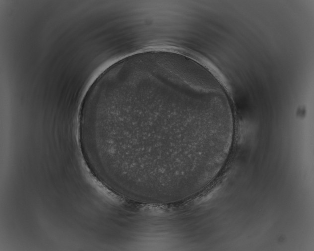 X0000089960955200707131534