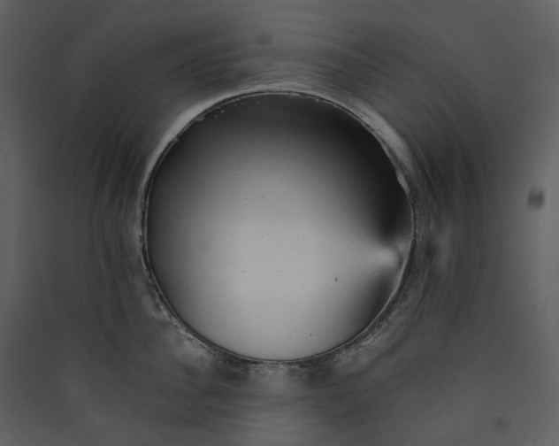 X0000089960956200707131534