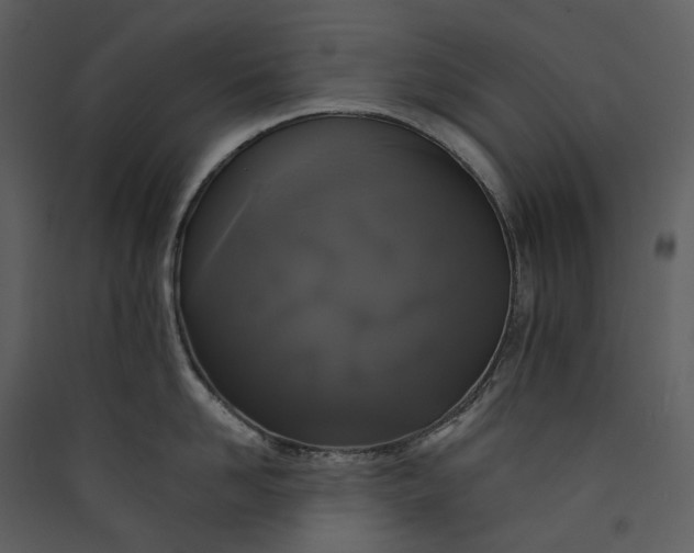 X0000089960958200707131534