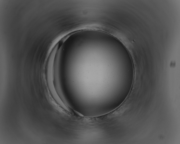X0000089960960200707131534