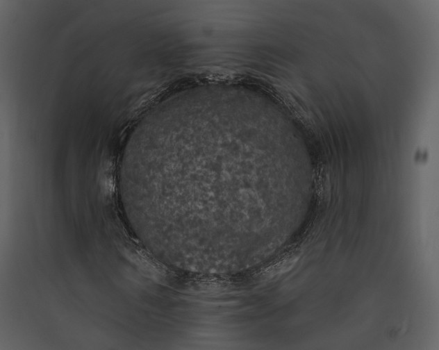 X0000089960962200707131533