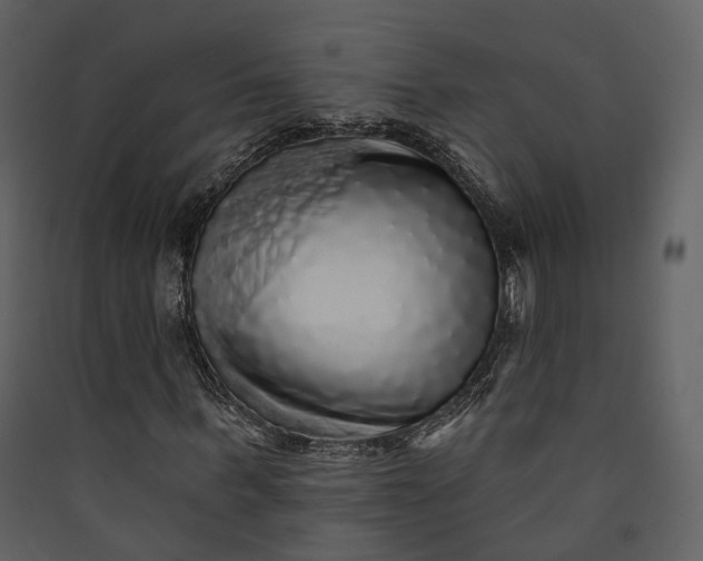 X0000089960963200707131533