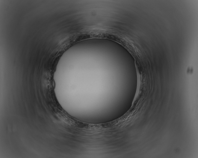 X0000089960964200707131533