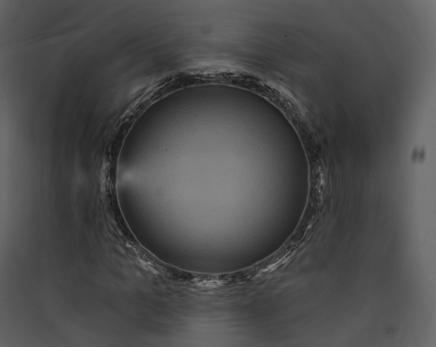 X0000089960965200707131533