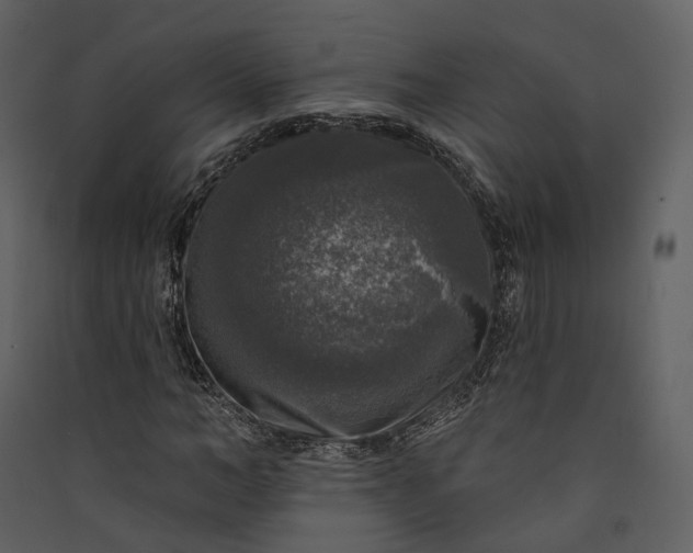 X0000089960966200707131533